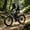 Gray Blue1, variant on PUCKIPUPPY 26" Electric Bikes for Adults 960W Peak 28 mph E-Bike 48V 20AH Battery 80Miles Range Fat Tire Full Suspension Ebikes 7 Speed off Road Mountain E Bike (Orange), Comply with UL2849 by SGS