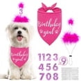 thumbnail image 3 of Party Banner Letter Set Fashion Sequins Cake Topper Set Birthday Banner for Dog, 3 of 10