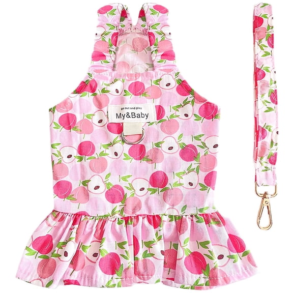 Small Dog Dress Harness and Leash Set Cute Princess Birthday Dog Dresses Soft Fruit Print Puppy Dresses Girl Dog Clothes for Small Dogs CatsM