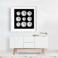 thumbnail image 2 of Sand Dollars - Photography Marine Life Beach Coastal Ocean Nautical Minimalist Aquatic White Framed Wall Art Print 8 x 8 inches, 2 of 3
