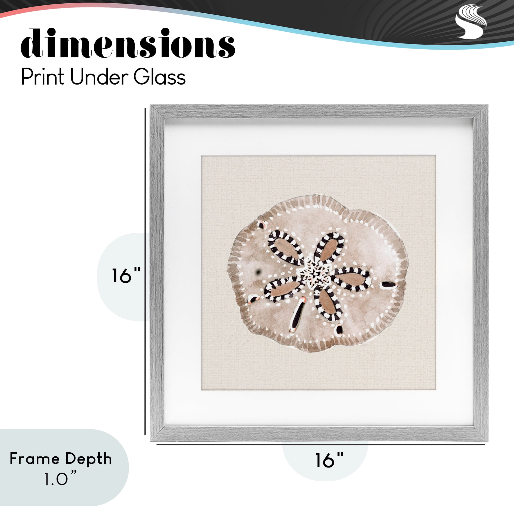 Stupell Industries Taupe & Beige Sand Dollar Gray Framed Print Under Glass, design by Lanie Loreth
