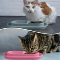 thumbnail image 3 of ACDANC Ant Away Cat Dog Food Water Bowl,32 OZ No Ants Food Water Bowls Dish for Cats Small Medium Dogs, 3 of 4