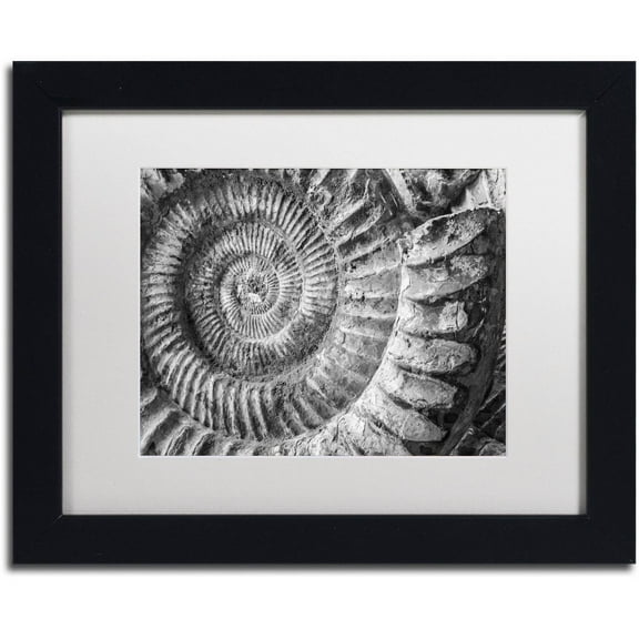 Trademark Fine Art "Amonita 1" Canvas Art by Moises Levy White Matte, Black Frame