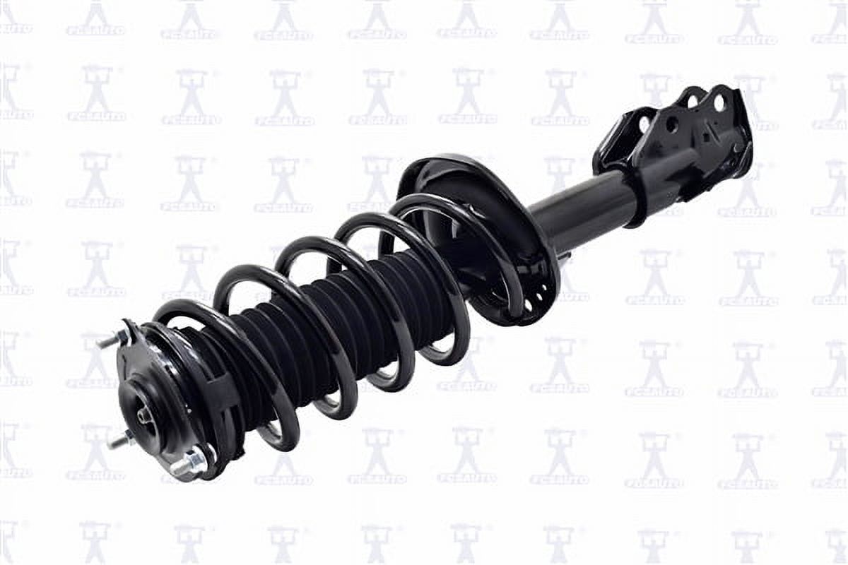 Suspension Strut and Coil Spring Assembly