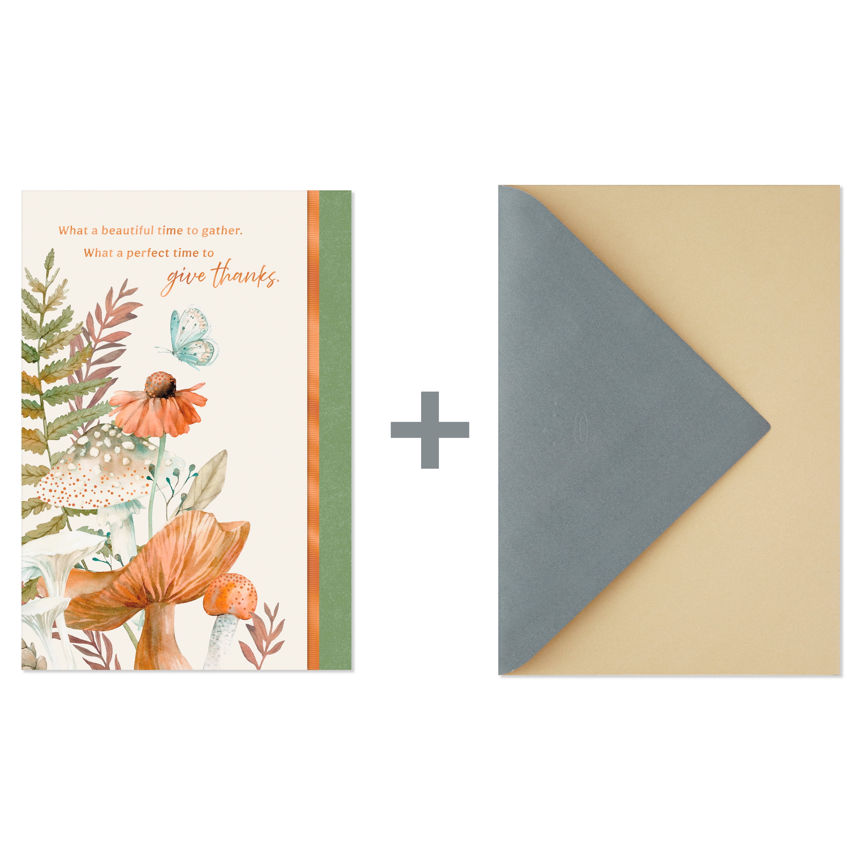 Hallmark Thanksgiving Card (Wishing the Goodness of the Season), 1 Count