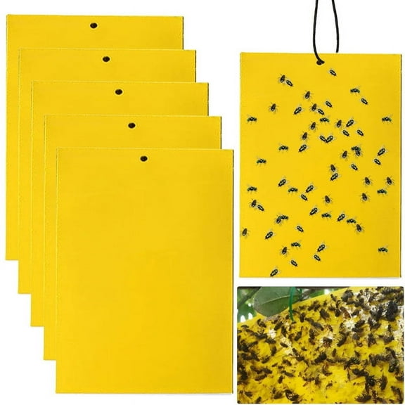 100 Pack Yellow Sticky Traps, Gnat Trap, Gnat Killer, Fruit Fly Paper Dual-Sided, Fly Traps Indoor Sticky, Sticky Traps Insects, Indoor/Outdoor