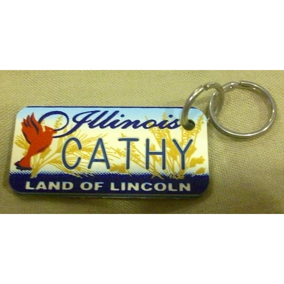 Illinois Land of Lincoln "Cathy" Keychain, Key Holder, Key Ring New