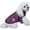 Purple, variant on BT Bear Pet Clothes, Dog Vest Jacket Waterproof Coat Harness Cold Weather Costume for Puppy Small Medium Dogs (M, Purple)