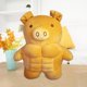 thumbnail image 5 of Almohada de de Dibujos Animados, Muñeco Suave de Peluche de Juguete Muñecos de Peluche Almohada Cojín Juguete Suave para Cerdo yotijar Cojín Almohada, 5 of 10