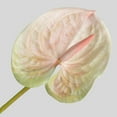 thumbnail image 3 of Hadanceo Faux Silk Flower Cuttable 1 Branch Flower Arrangement Fake Anthurium Floral Reusable Faddish Photography Props, 3 of 7
