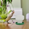 thumbnail image 4 of FOMIYES 2Ud De Para Jaula De Loros Plástico Y Confiable Para Mascotas, 4 of 7