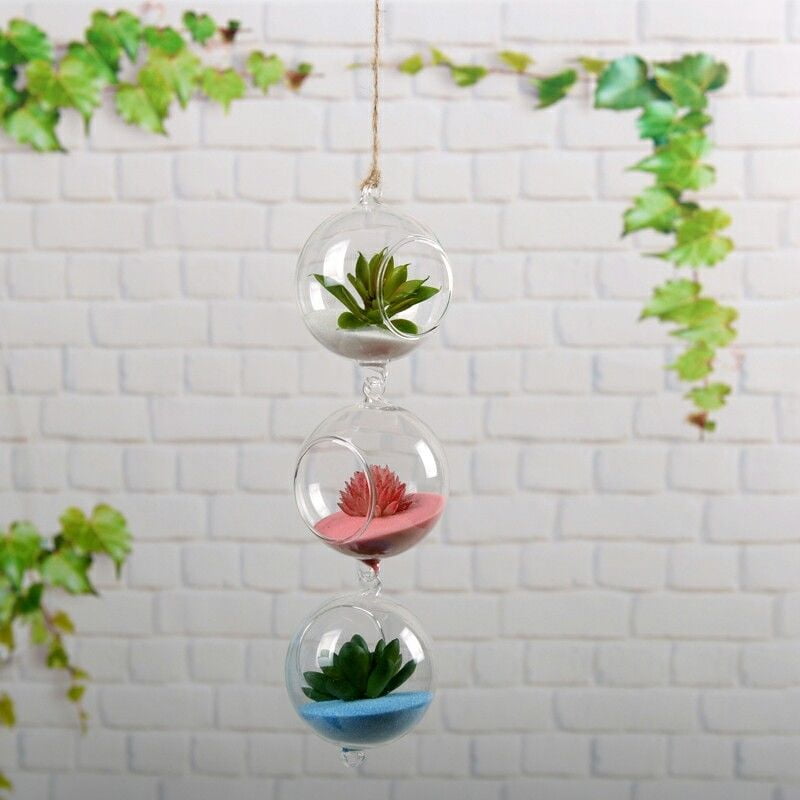 Glass Flower Hydroponic Vase Micro DIY Landscape Terrarium Bottle S 