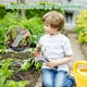 thumbnail image 2 of Pinzas para Trasplante de Plántulas: Pinzas para Trasplante de Plantas de Jardinería de Acero Inoxidable de 8,7 Pulgadas para Reducir el Daño A las Raíces, 2 of 8