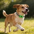 thumbnail image 2 of Natural Ingredients Dog Flea and Tick Repellent Pendant Provides Continuous Protection Against Fleas and Ticks in a Simple Wearable Pendant （1 Buckle + 3 Capsules + 1 Ring）, 2 of 8