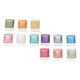 thumbnail image 6 of NFTIGB Solid Nail Watercolor Paint Set 12 Colors Pearlescent Portable Pigment Art Set for Beginners (5.1 inches / 13 cm), 6 of 10