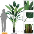 thumbnail image 2 of Artificial Bird of Paradise Plant 6FT(72in) FakeTree for Indoor Outdoor Modern Decor Faux Plants for Home Office Perfect Housewarming Gift with 17 Trunks Faux Leaves and 3 Faux Flowers, 2 of 7