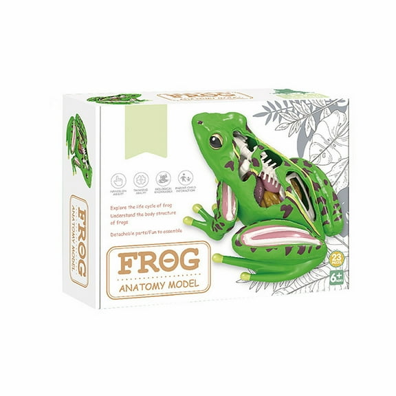 SGJHEQ Toys 4D Vision Frog Anatomy Model Kit