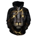thumbnail image 1 of Chandail à Capuchon Unisexe Décontracté à Manches Longues, Chandail à Capuchon Imprimé Lion 3D, Haut à Enfiler, Lion Noir G, 1 of 6