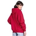 thumbnail image 4 of Fruit of the Loom  Adult Iconic Premium Hoodie, 4 of 4