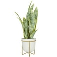 thumbnail image 6 of DecMode 25" Artificial Snake Plant in White Porcelain Pot and Gold Stand, 6 of 8