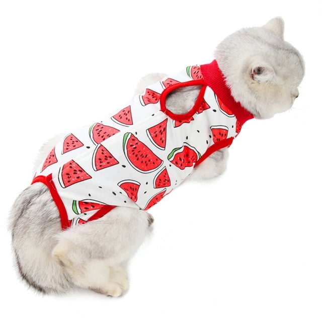 2 ropa quirúrgica para gatos de primavera y verano, ropa antilamido para destete 916