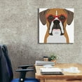 thumbnail image 3 of Epic Graffiti 'Boxer Wearing Hipster Glasses' by Furbaby Affiliates, Canvas Wall Art, 26"x26", 3 of 8