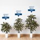 thumbnail image 3 of QinaQin Árbol artificial Dracaena de 4, 5 o 6 pies, hojas real touch y troncos multitonales, con maceta blanca alta para decoración interior, 3 of 8