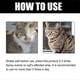 thumbnail image 4 of 30ML Cat Ringworm Spray Skin Disease Itching Mite Relieve Ringworm Treatment Medicine Reduce Local Inflammation Cat Supplies, 4 of 5