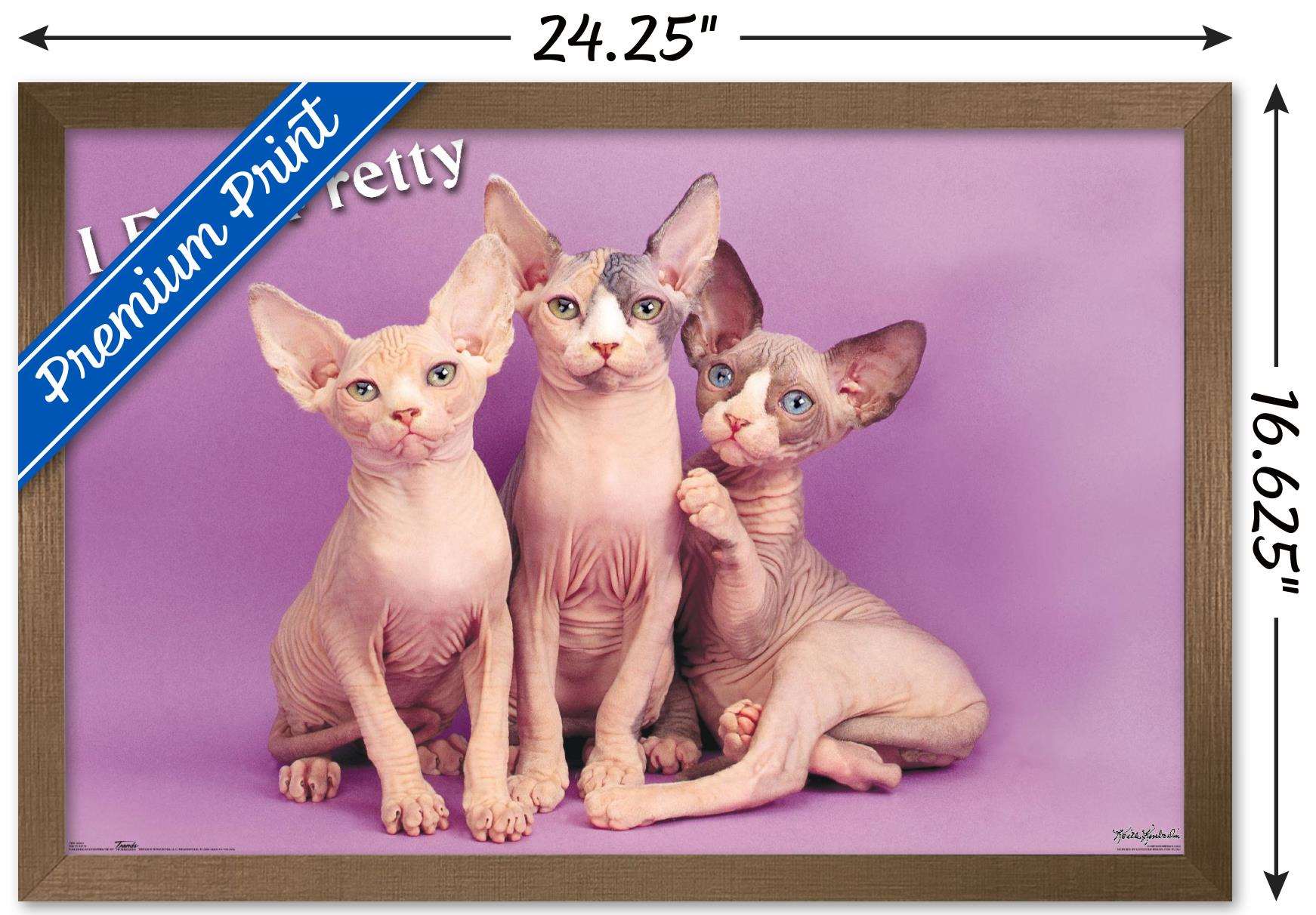 Keith Kimberlin - Kittens - Pretty Kitty Wall Poster, 14.725" x 22.375", Framed