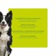 thumbnail image 3 of Alimento para perro NutresCan Nutrescan Adulto 15 kg, 3 of 4