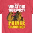 thumbnail image 3 of Shrek - What Did You Expect Prince Charming - Toddler & Youth Short Sleeve Graphic T-Shirt, 3 of 5