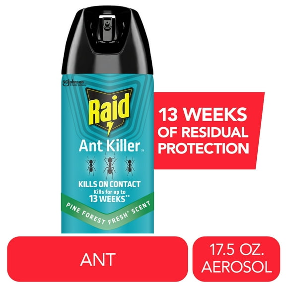 Raid Ant Killer 26, Insecticide Spray for Home, Pine Forest Fresh Scent, 17.5 oz