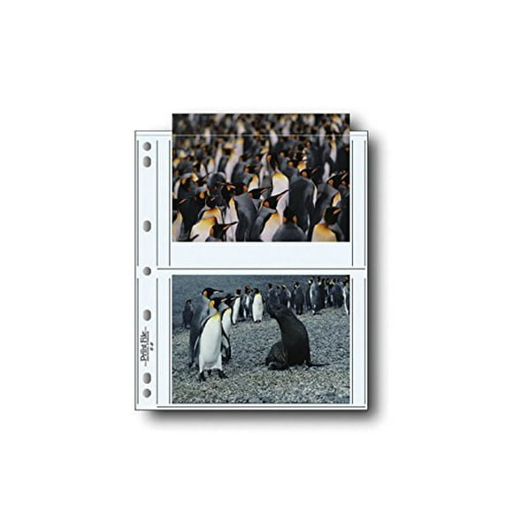 Print File Archival Storage Page for Prints or Postcards Pack of 100 - 060-0644