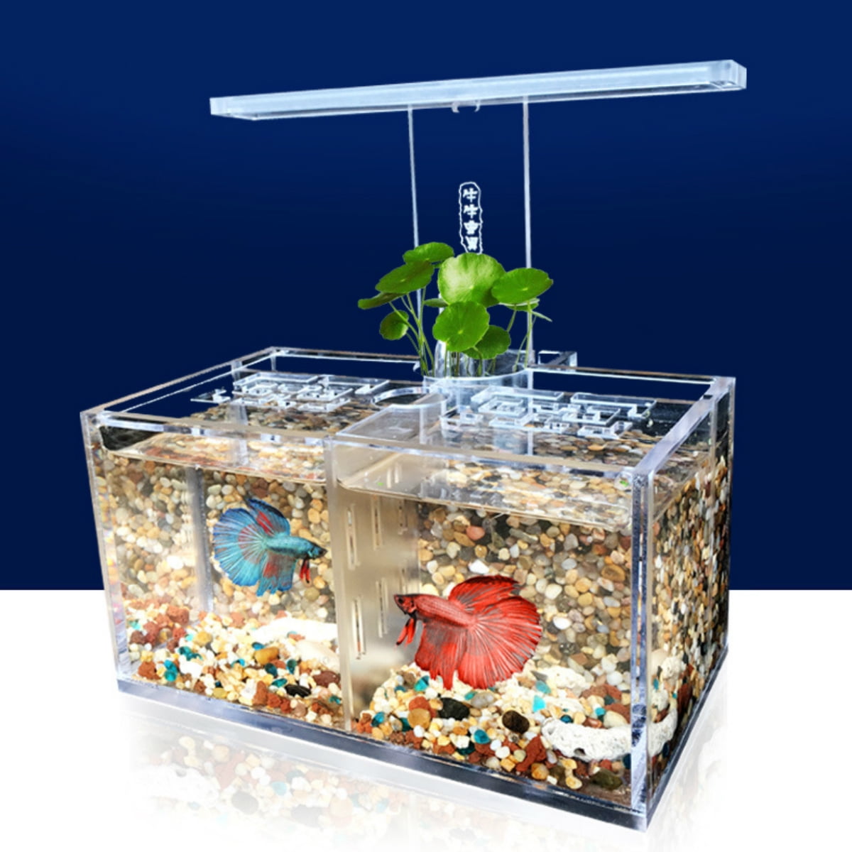 Clear Mini Betta Fish Tank Small Mini Aquarium Supplies Decoration