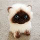 thumbnail image 3 of Simulación de 20/26CM, juguetes de peluche siameses, gato, ojos de lentejuelas azules, muñecas, cara marrón y blanca, Ragdoll, gato, juguetes de peluche oso de fresa Hogar, 3 of 6