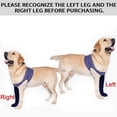 thumbnail image 4 of Calcetas impermeables antideslizantes para patas de perro Coodeo 3XL, 4 of 8
