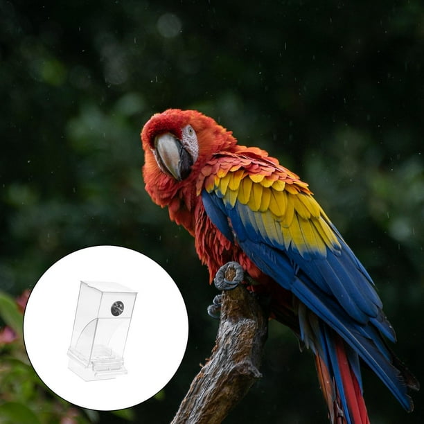 Macaw hotsell wildbird sling