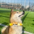 thumbnail image 2 of CSChome Pet Collar Pet Collar Cartoon Soft Cute Adjustable Woolen Thread Fur Ball Dog Collar, 2 of 7