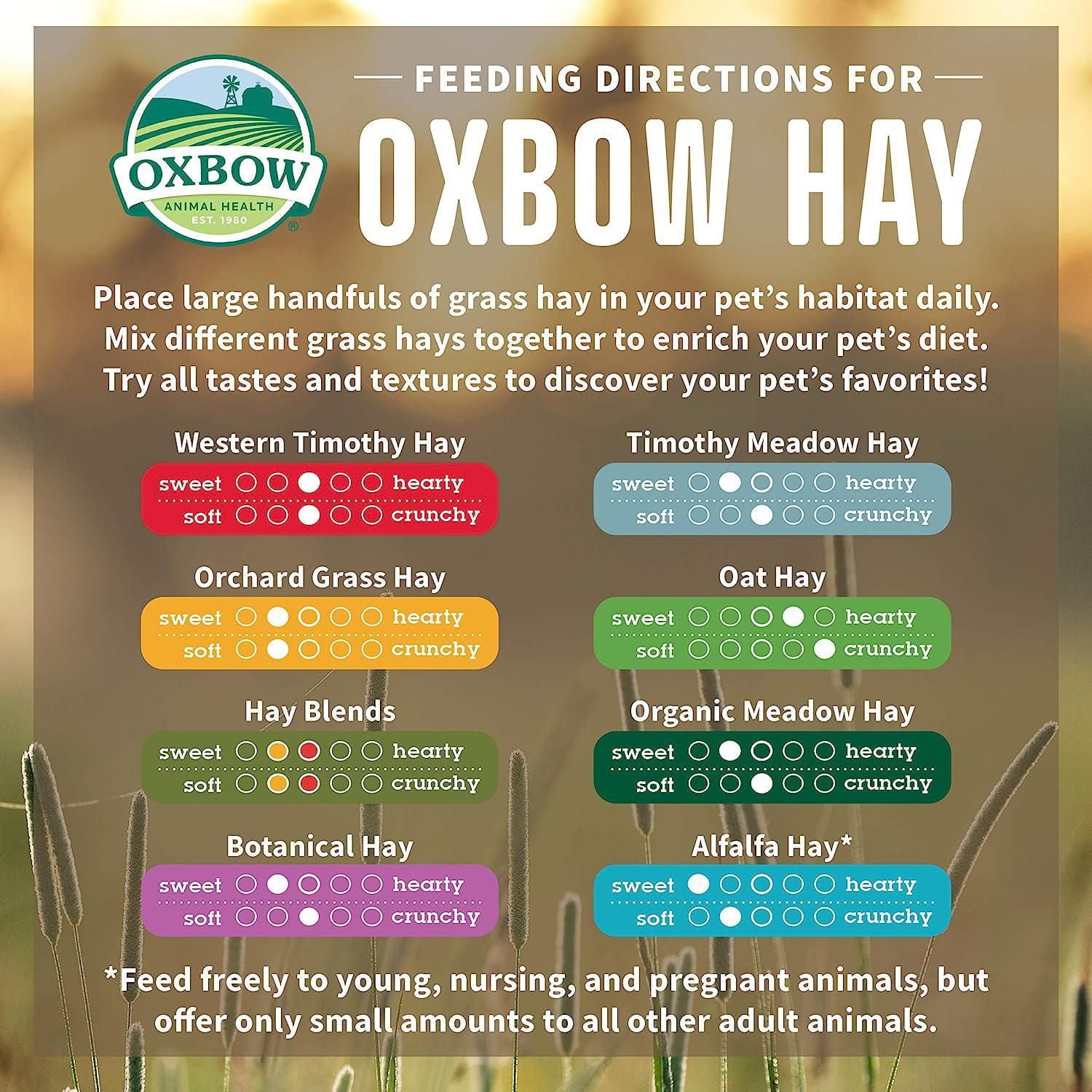 OxBow Orchard Grass Small Animal Food