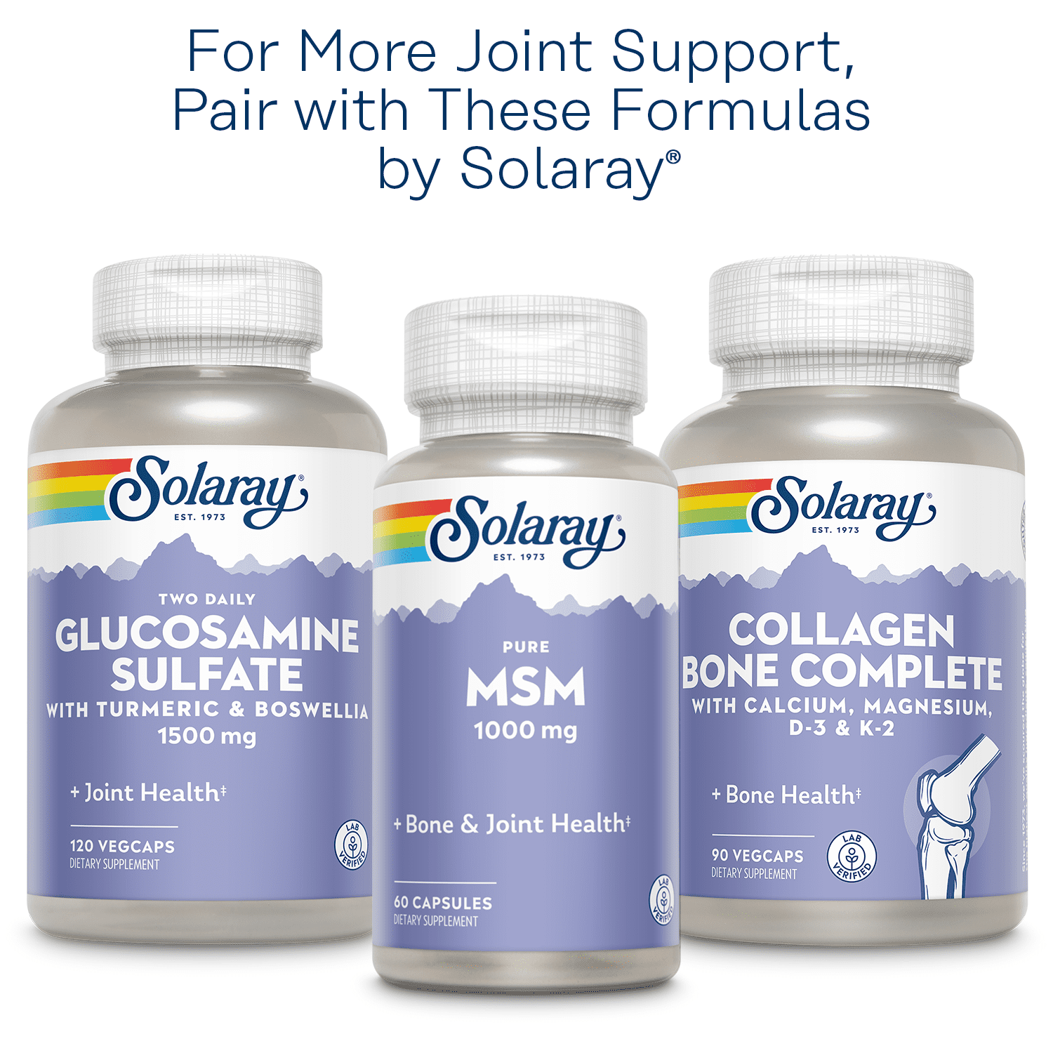 Solaray Glucosamine Chondroitin Hyaluronic Acid | Healthy Joint Comfort & Mobility with Vitamin C | 30 Serv, 90 VegCaps