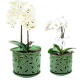 thumbnail image 2 of 2 Pack Ceramic Orchid Pot with Airflow Holes,5+ 6 Inch Decorative Planter for Phalaenopsis and Cattleya, Includes Saucer and Mesh Pad, 2 of 9