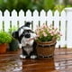 thumbnail image 1 of CaiYueKe Schnauzer Dog Resin Planter, Cute Whimsical Dog Figurine with Barrel Pot, Succulent Flower Pot, Home Decor Planter, Gift for Dog Lovers, Indoor Outdoor Decorative Planter, 1 of 5
