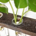thumbnail image 4 of Wall Hanging Planter,2 Tiered Plant Propagation Stations Glass Terrarium With Wooden Stand Test Tube Flower Vases Retro Hanging Glass Planter For Prop, 4 of 5