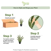 Nearly Natural 35 Sansevieria Artificial Plant in Plastic Planter, Green