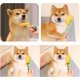thumbnail image 5 of Cepillo para mascotas con forma de calabaza (verde), cepillo para perros, cepillo para gatos, peine para el pelo, peine para el pelo de perros y gatos con botón de limpieza de un solo clic, mango boni, 5 of 5
