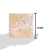 Dr. Squatch Men's Soap, Natural Bar Soap for Men, Birchwood Breeze, 5 oz