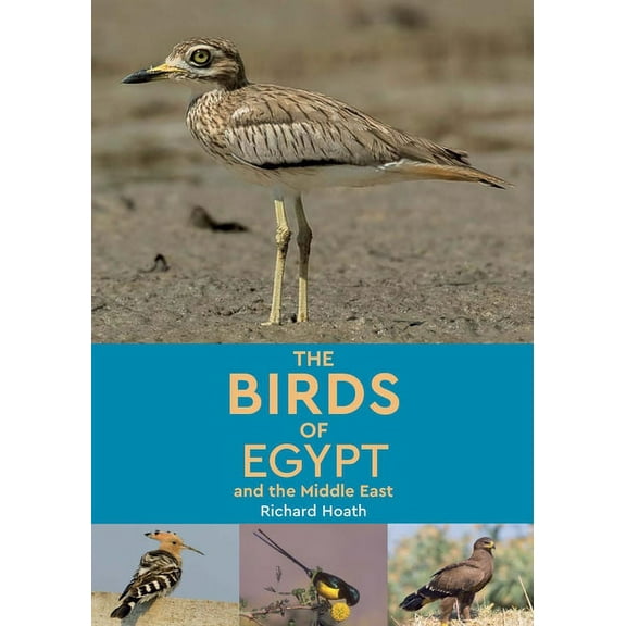 The Birds of Egypt and the Middle East, (Paperback)