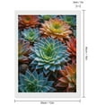 thumbnail image 2 of Diamond Art Kits for Adults, Colorful Succulents Garden Closeup 5D Diamond Painting Kits for Adults Beginners, DIY Full Drill Diamond Painting, Gem Art and Crafts 12x16, 2 of 7