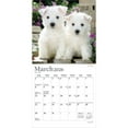 thumbnail image 3 of Puppy Pals | 2026 7x14" (Hanging) Monthly Mini Wall Calendar | Plato, 3 of 9