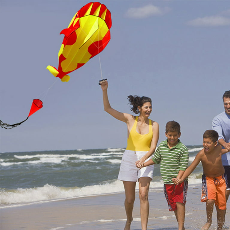 zhaomeidaxi 3D Kite Large Whale Breeze Beach Kites with Frameless